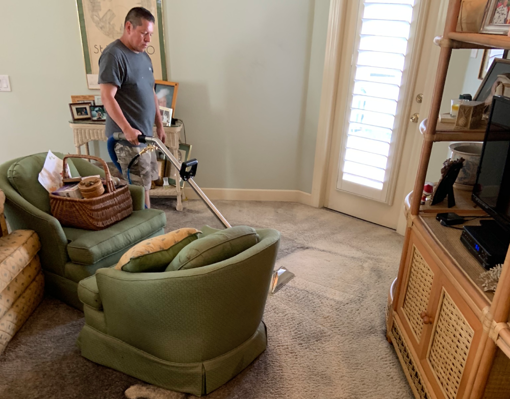 cleaning carpet in clearwater home