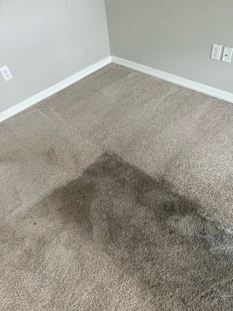 Tile and Grout Cleaning Near Riverview Florida