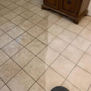 Rug Cleaning Near Me Riverview Florida