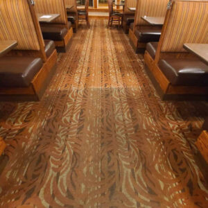 Rug Cleaning Near Me Riverview Florida
